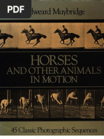 Como Desenhar Animais Em Movimento