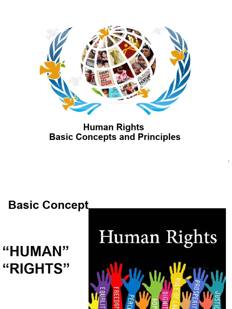 Understanding Human Rights Principles | PDF | Human Rights ...