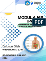 Modul Ajar Ipa Wina, Siap