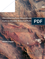 Microbial Carbon Mineralization (MCM) Carbon Dioxide Removal Pathway