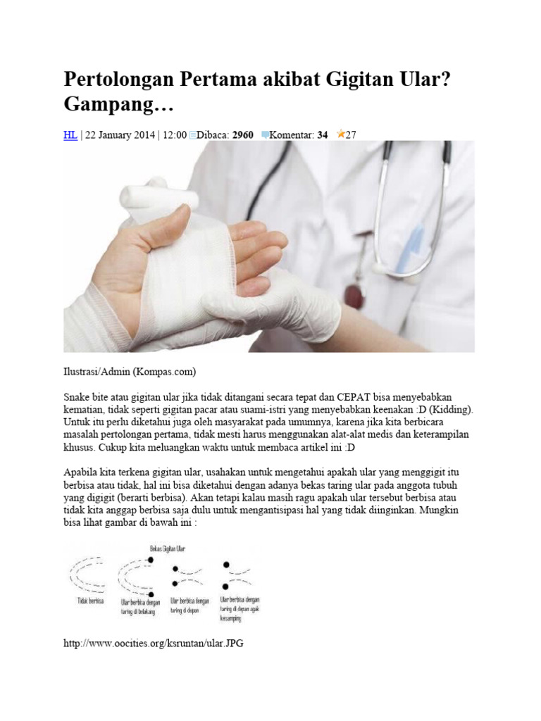 Mulut Berbusa, Warga Desa Pematang Awayan Terkena Gigitan Ular