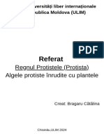 Colegiu Universități Liber Internaționale Din Republica Moldova (ULIM) Referat Regnul Protistele (Protista) Algele Protiste Înrudite Cu Plantele