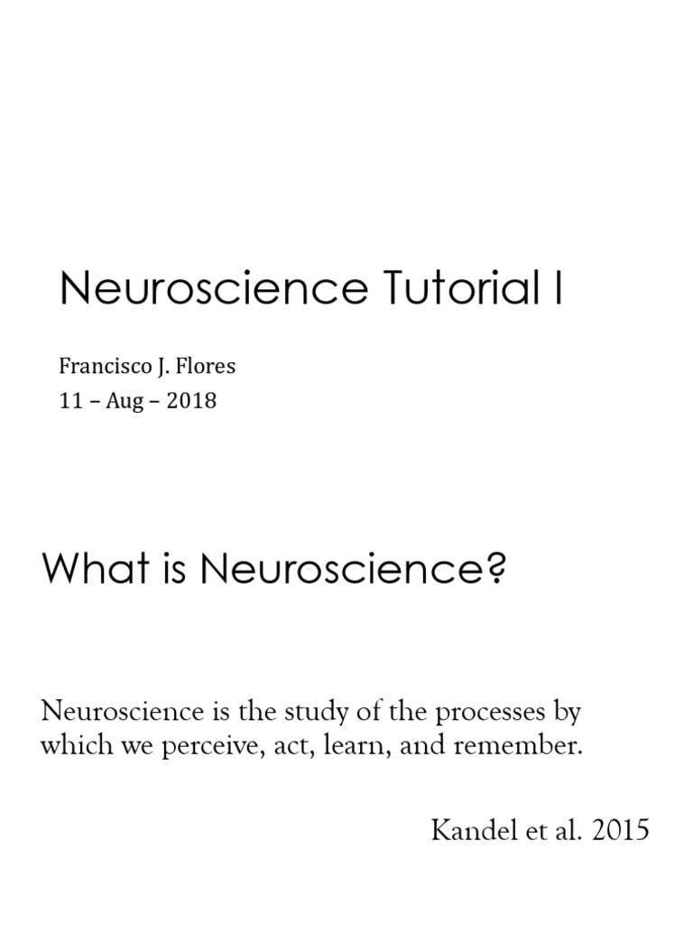 Introduction to Neuroscience Basics | PDF | Action Potential | Neuron