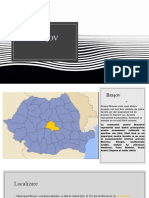 Brașov - Proiect Geografie