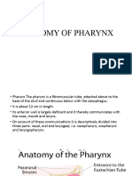 Anatomy of Pharynx