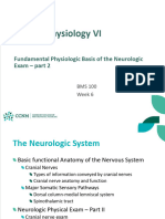 CP6 - 6 - Neurological System P2