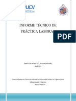 INFORME TECNICO DE PRÁCTICA LABORAL - Patricia de Los Reyes (Reparado)