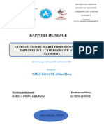 Rapport Flor PDF