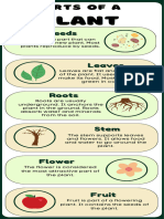 Green and Yellow Illustrative Science Parts of The Plants Educational Infographics