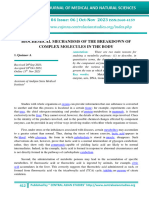 Biochemical Mechanisms of The Breakdown of Complex Molecules in The Body