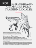 GudynasDerechosNatzGlobalLocalMemoriaMx
