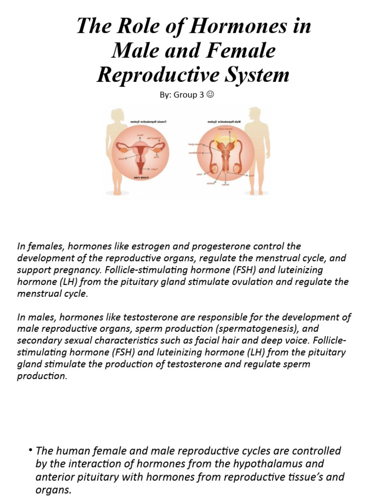 Hormones in Male and Female Reproduction | PDF | Menstrual Cycle ...