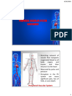 4 - Peripheral Vascular
