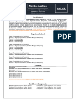 Modelo Internacional-1