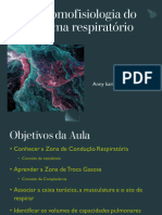 Aula 01 - Anatomofisiologia Do Sistema Respiratório (Guardado Automaticamente)