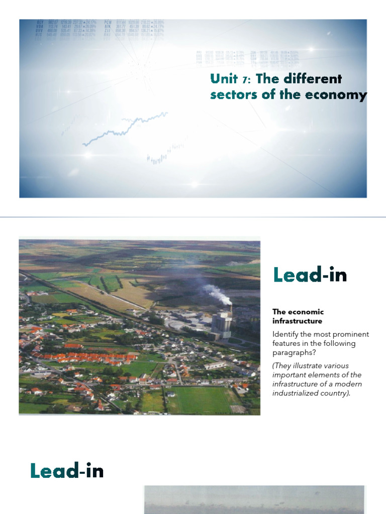 Sectors of the Economy Explained | PDF | Mining | Tertiary Sector Of ...