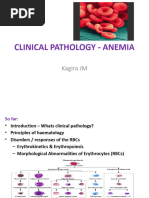 Lecture 2 - Clinical Pathology - Anemia