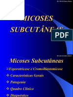 Aula 3 - Micoses Subcutaneas
