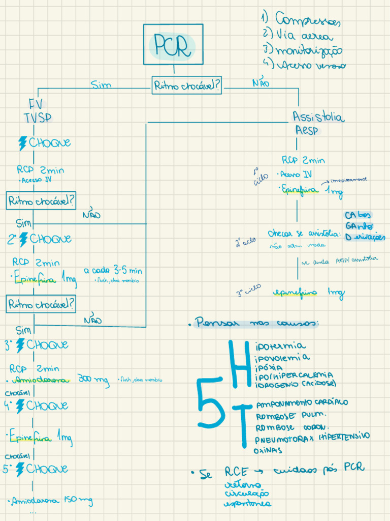 Resumo Acls Isa | PDF | Medicina Clínica | Angiologia