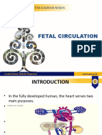 Fetus Circulation Lecture