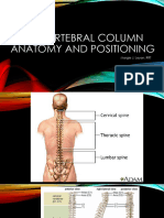 The Vertebral Column Anatomy and Positioning