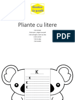 Pliant K, P, S, Ș, V, Z