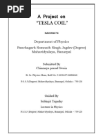 Project Chinmaya Prasad Physics Tesla Coil