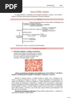 Anexo XVIII Sangue - Sistema ABO e Factor Rhesus