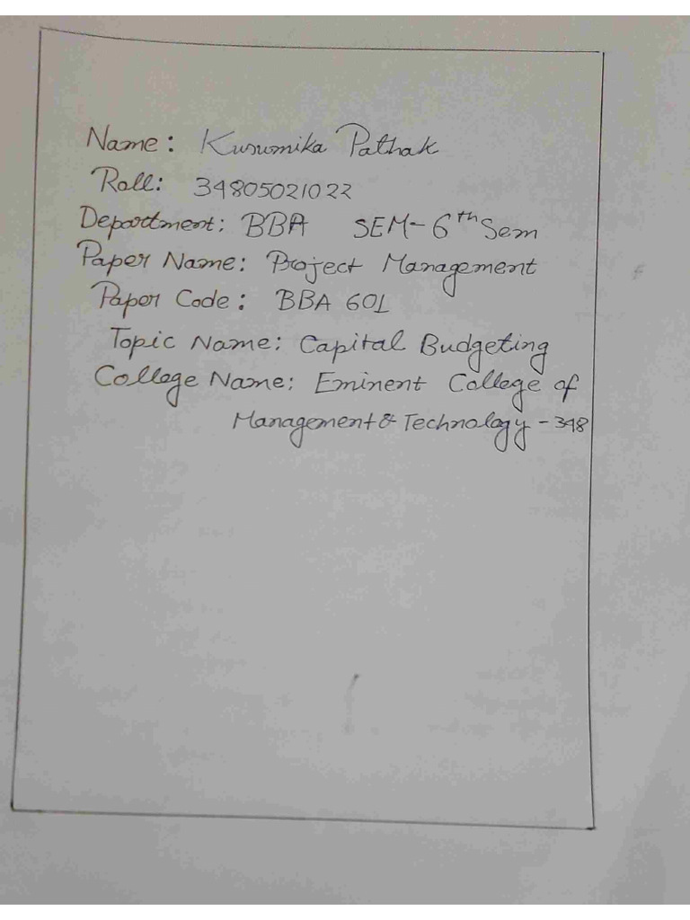 Project Management | PDF
