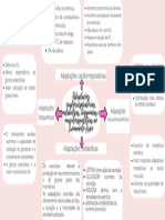 Adaptações Cardiorrespiratórias, Metabólicas, Bioquímicas e Musculoesqueléticas Ao Treinamento Físico