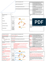 ATP-sheet Worksheet