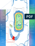 Illumina DNA Methylation Infographic ST9