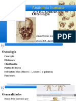 Conceptos Básicos Osteología