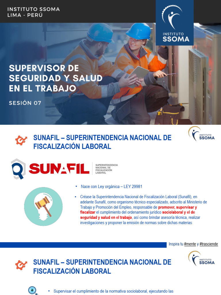 Funciones y Sanciones de SUNAFIL | PDF | Mente | Derecho laboral