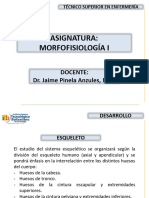 Morfofisiologia I