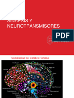 Clase III Sinapsis y Neurotransmisores