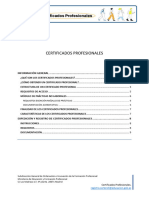 PDF Imprimible P Gina Web v3