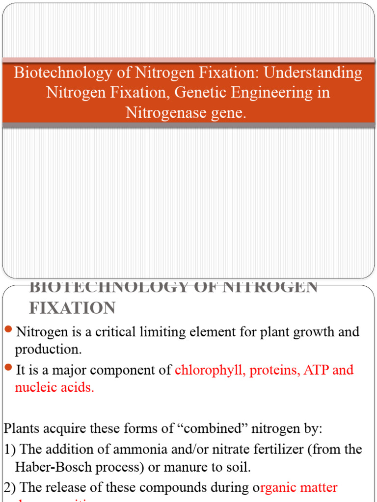 Biotechnology of Nitrogen Fixation Understanding Nitrogen Fixation