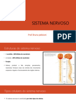 Sistema Nervoso Corrigido