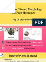 Roots, Plant Tissues, Morphology and Plant Hormones: by DR Vipan Goyal