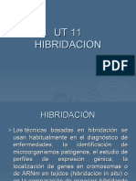 11HIBRIDACION