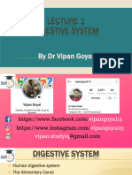 Lecture 1 Digestive System