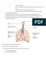 Lung Structure and Gaseous Exchange