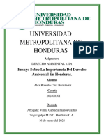 La Importancia Del Derecho Ambiental en Honduras.