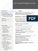 Curriculum Vitae Profesional para Trabajo