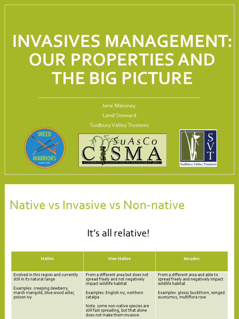 Invasive Species Management Guide | PDF | Invasive Species | Trees