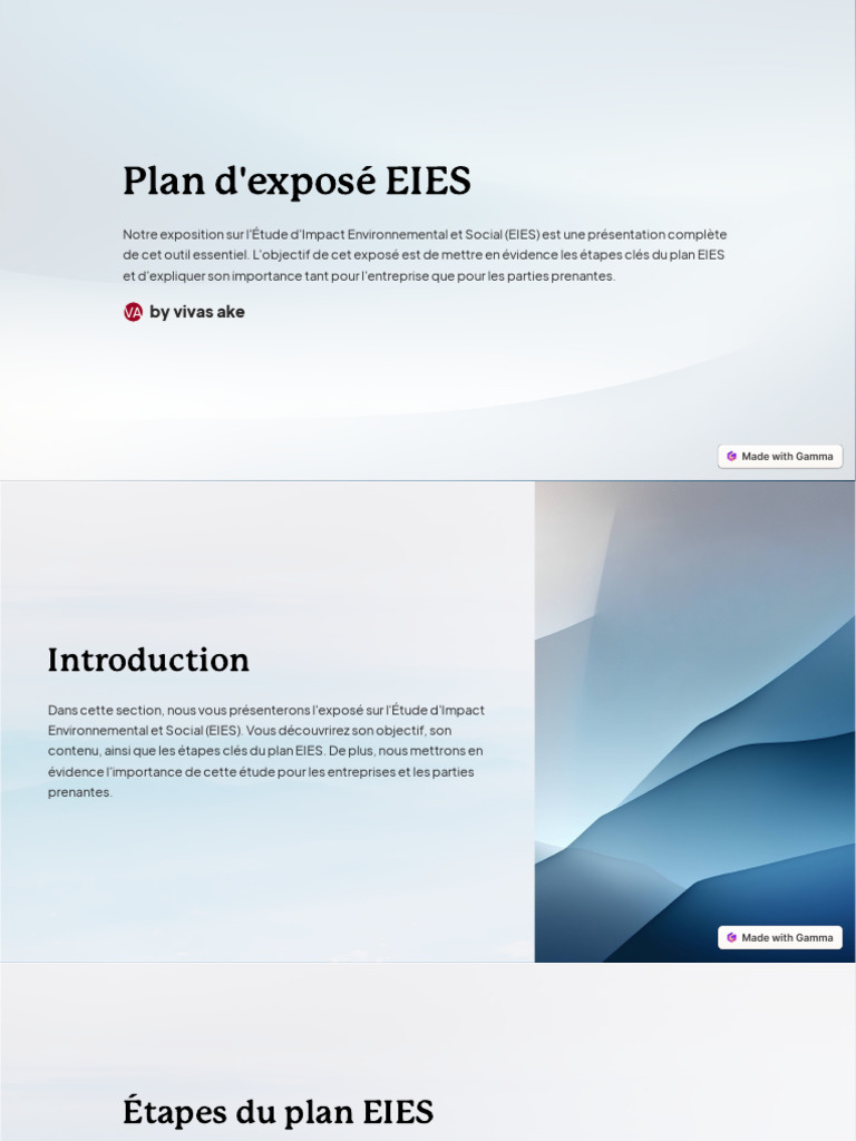Plan d'Exposé sur l'EIES | PDF | Affaires
