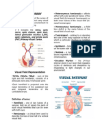 Visual Pathway