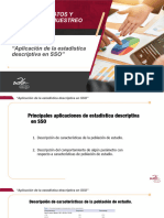 "Aplicación de La Estadística Descriptiva en SSO"