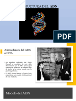 Adn, Arn, Codigo Genetico, Traduccion